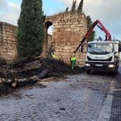 Efectos Borrasca Mérida
