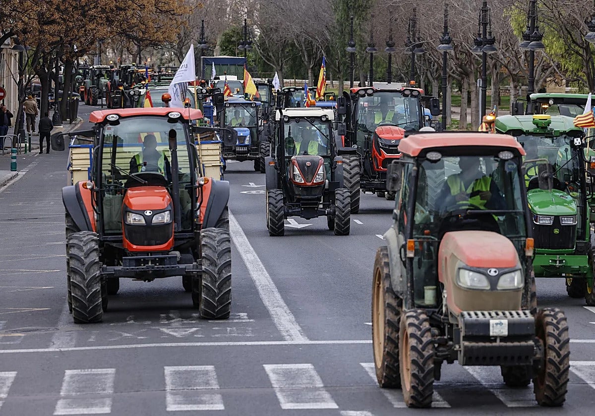 Joan, agricultor de 19 años: "Hoy en día el campo no da para nada" Joan, agricultor de 19 años: "Hoy en día el campo no da para nada"