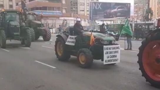 Tractorada en Alicante