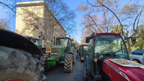 Los tractores han tomado la Avenida Blasco Ibánez de Valencia. Los tractores han tomado la Avenida Blasco Ibánez de Valencia.