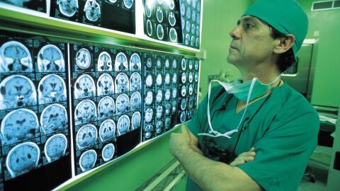 La maldad humana desde la neurociencia: &iquest;nacemos crueles o aprendemos a serlo?