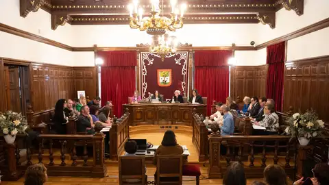Pleno en Getxo Pleno en Getxo