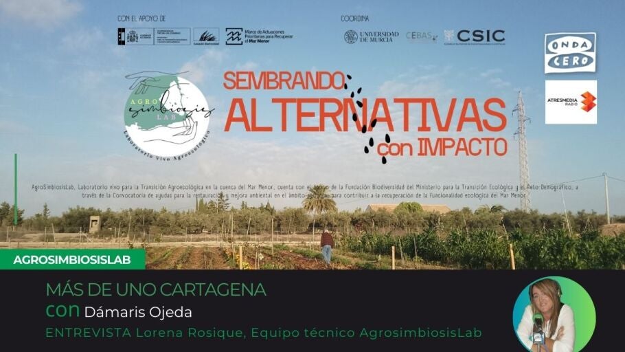 M&Aacute;S DE UNO CARTAGENA