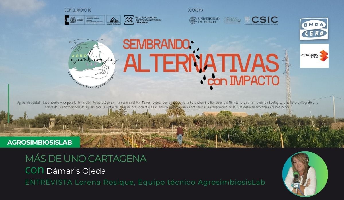 El Gobierno habilitara ayudas a las Cofradías por 8 millones en apartado de economía social. El Gobierno habilitara ayudas a las Cofradías por 8 millones en apartado de economía social.