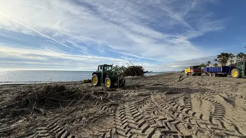El Ayuntamiento de Estepona intensifica la limpieza de las playas por el temporal y retira más de 2.500 metros cúbicos de cañas El Ayuntamiento de Estepona intensifica la limpieza de las playas por el temporal y retira más de 2.500 metros cúbicos de cañas