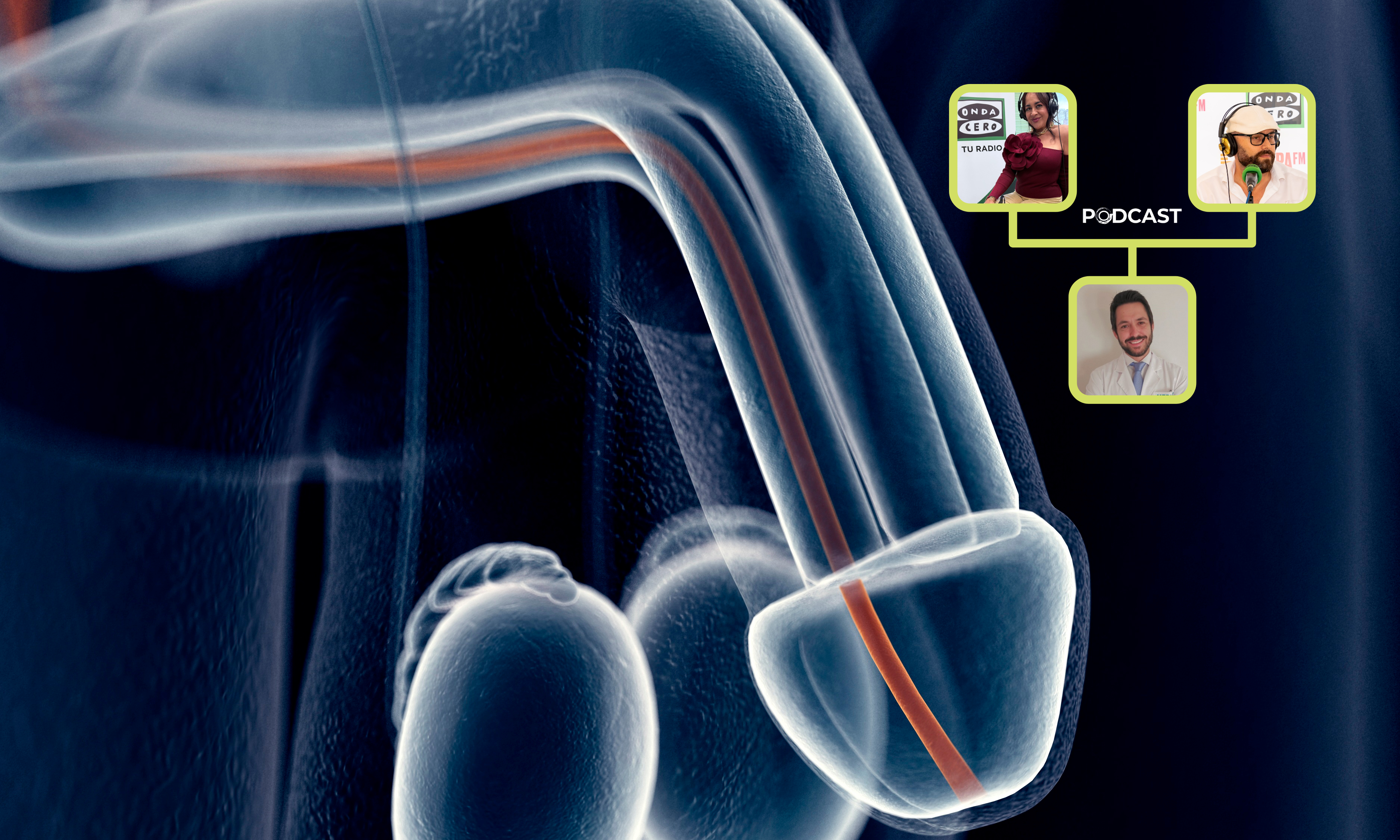 El Dr. Leandro Reina adivierte sobre las fracturas de pene por flexiones bruscas durante el sexo o la masturbación El Dr. Leandro Reina adivierte sobre las fracturas de pene por flexiones bruscas durante el sexo o la masturbación