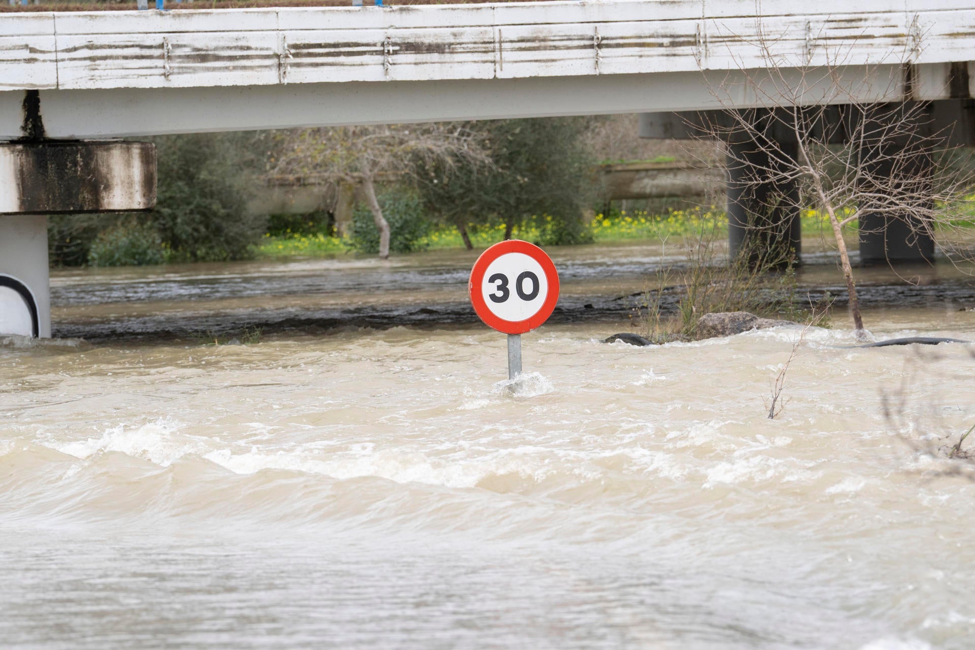Qué es el "río atmosférico", el fenómeno que ha puesto en alerta a Andalucía que descargará "más agua de lo normal" Qué es el "río atmosférico", el fenómeno que ha puesto en alerta a Andalucía que descargará "más agua de lo normal"