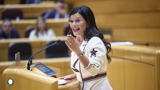 La senadora del PP Nidia Ar&eacute;valo interviene durante un pleno en el Senado (foto de archivo)