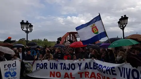 La plataforma en defensa del Tajo en Talavera se disuelve La plataforma en defensa del Tajo en Talavera se disuelve