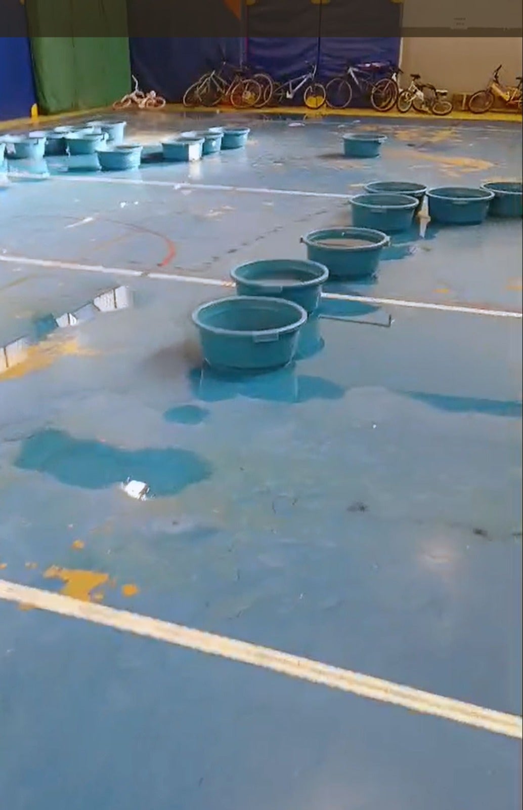 El AMPA del CEIP Madre de la Luz pide una solución para el gimnasio del centro El AMPA del CEIP Madre de la Luz pide una solución para el gimnasio del centro