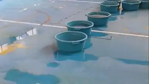 Goteras CEIP Madre de la luz Goteras CEIP Madre de la luz