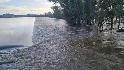 Trece presas alivian agua en la cuenca del Guadiana, que mantiene diez estaciones de aforo en aviso rojo Trece presas alivian agua en la cuenca del Guadiana, que mantiene diez estaciones de aforo en aviso rojo