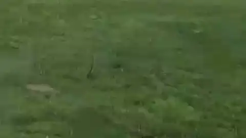 Gandeiros e Agricultores ourensáns poderían levar as protestas a Madrid Gandeiros e Agricultores ourensáns poderían levar as protestas a Madrid