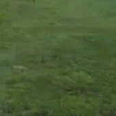 Gandeiros e Agricultores ourensáns poderían levar as protestas a Madrid