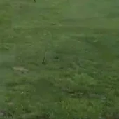 Gandeiros e Agricultores ourensáns poderían levar as protestas a Madrid Gandeiros e Agricultores ourensáns poderían levar as protestas a Madrid