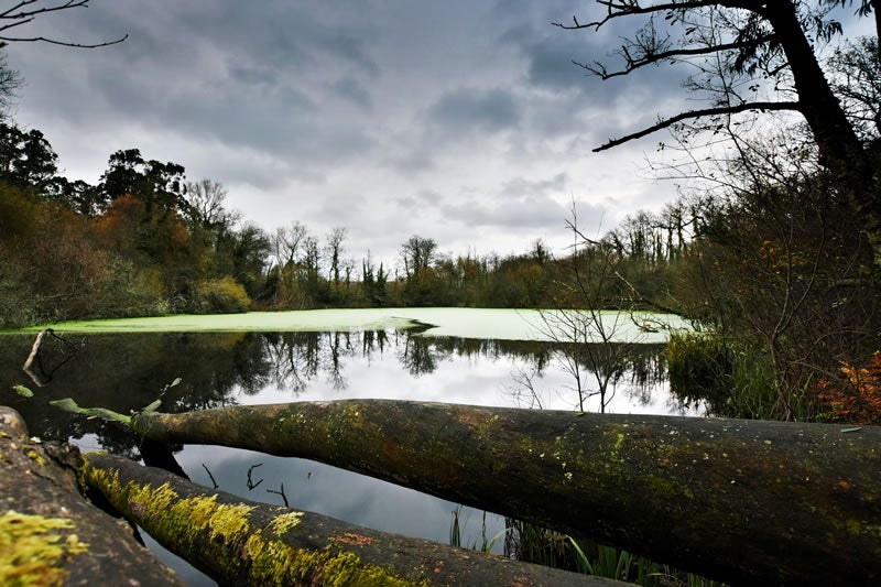 Ecologistas en Acción pide que se publique el catálogo regional de zonas húmedas de Extremadura Ecologistas en Acción pide que se publique el catálogo regional de zonas húmedas de Extremadura