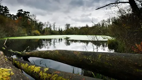 Ecologistas en Acción pide que se publique el catálogo regional de zonas húmedas de Extremadura Ecologistas en Acción pide que se publique el catálogo regional de zonas húmedas de Extremadura