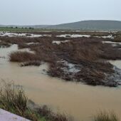 Río Becea
