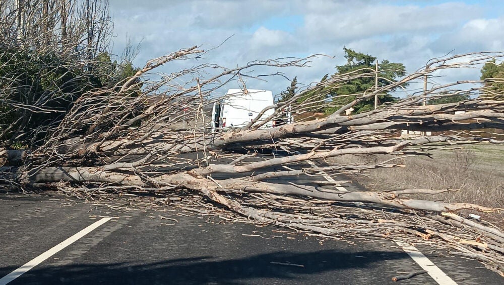 Carretera cortada en Ciudad Real