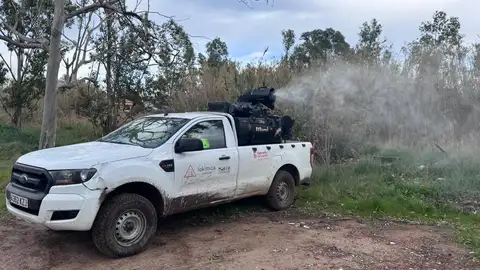 Diputación de Castellón refuerza de forma anticipada la lucha contra los mosquitos tras las últimas lluvias Diputación de Castellón refuerza de forma anticipada la lucha contra los mosquitos tras las últimas lluvias