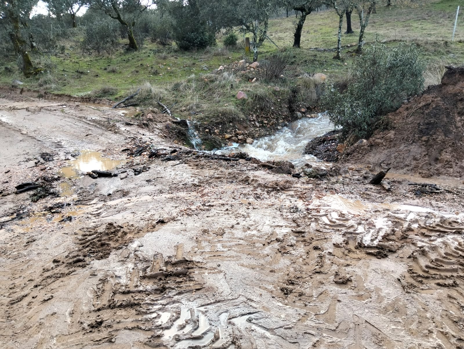El fuerte temporal causa graves daños en Fuencaliente y mantiene en alerta a la población El fuerte temporal causa graves daños en Fuencaliente y mantiene en alerta a la población