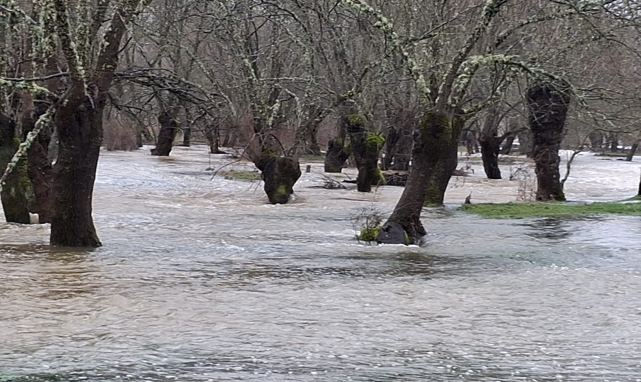 Extremadura activa la situación operativa 1 del Plan INUNCAEX por riesgo de inundaciones en toda la región para este jueves Extremadura activa la situación operativa 1 del Plan INUNCAEX por riesgo de inundaciones en toda la región para este jueves