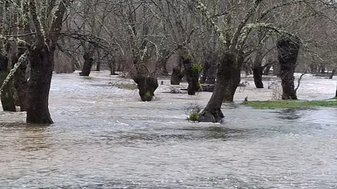 Extremadura activa la situación operativa 1 del Plan INUNCAEX por riesgo de inundaciones en toda la región para este jueves Extremadura activa la situación operativa 1 del Plan INUNCAEX por riesgo de inundaciones en toda la región para este jueves