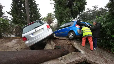 Dos personas junto a unos vehículos atrapados al levantarse el pavimento tras caerse un árbol en Los Barrios (Cádiz). Dos personas junto a unos vehículos atrapados al levantarse el pavimento tras caerse un árbol en Los Barrios (Cádiz).