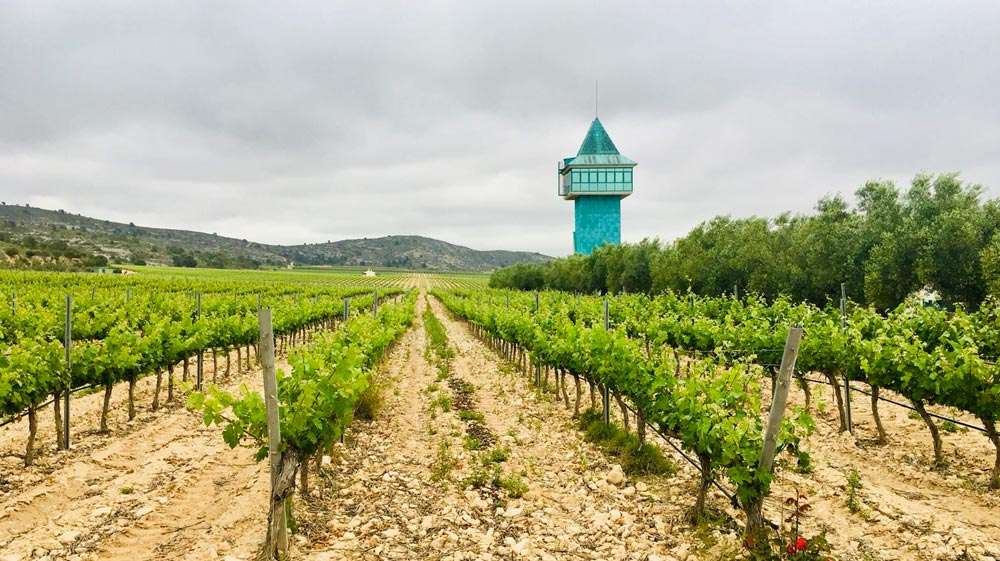 Villena se convierte en la capital del vino con la nueva edición de Enotur y sus actividades enoturísticas Villena se convierte en la capital del vino con la nueva edición de Enotur y sus actividades enoturísticas