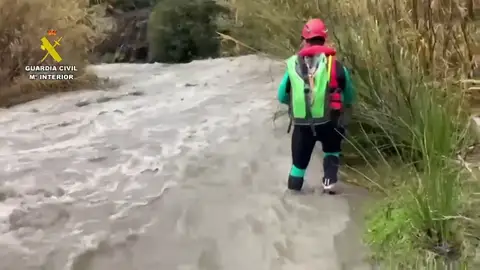 Continúa la búsqueda de la mujer que cayó al río en Turvilla en Sayalonga Continúa la búsqueda de la mujer que cayó al río en Turvilla en Sayalonga
