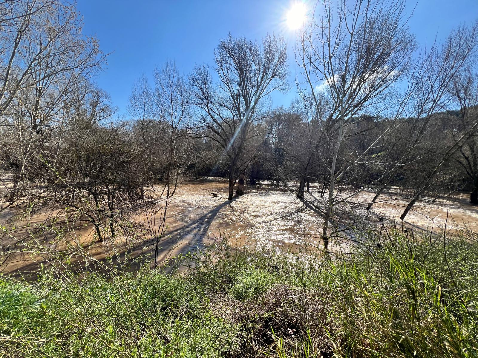 El río Henares roza el umbral rojo a su paso por Guadalajara capital El río Henares roza el umbral rojo a su paso por Guadalajara capital