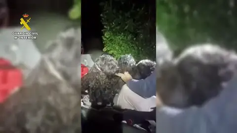 Rescatan a cinco personas y diez perros de casa inundada en el Campo de Gibraltar (Cádiz) Rescatan a cinco personas y diez perros de casa inundada en el Campo de Gibraltar (Cádiz)