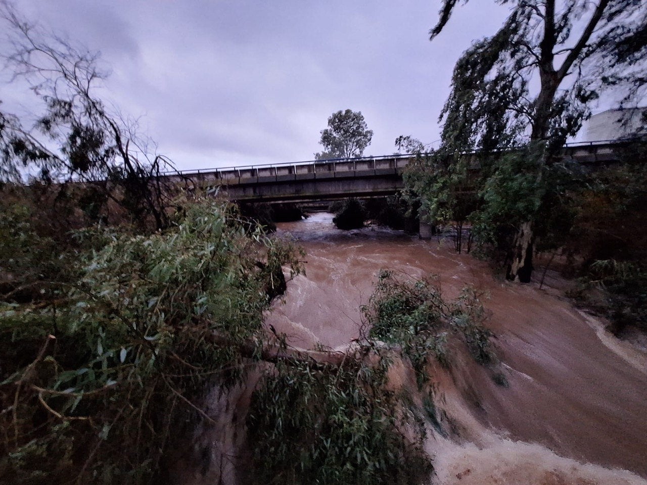Más de un millar de evacuados en Extremadura por la Borrasca Leonardo. Anoche se cortaba el Puente de la Autonomía en Badajoz Más de un millar de evacuados en Extremadura por la Borrasca Leonardo. Anoche se cortaba el Puente de la Autonomía en Badajoz