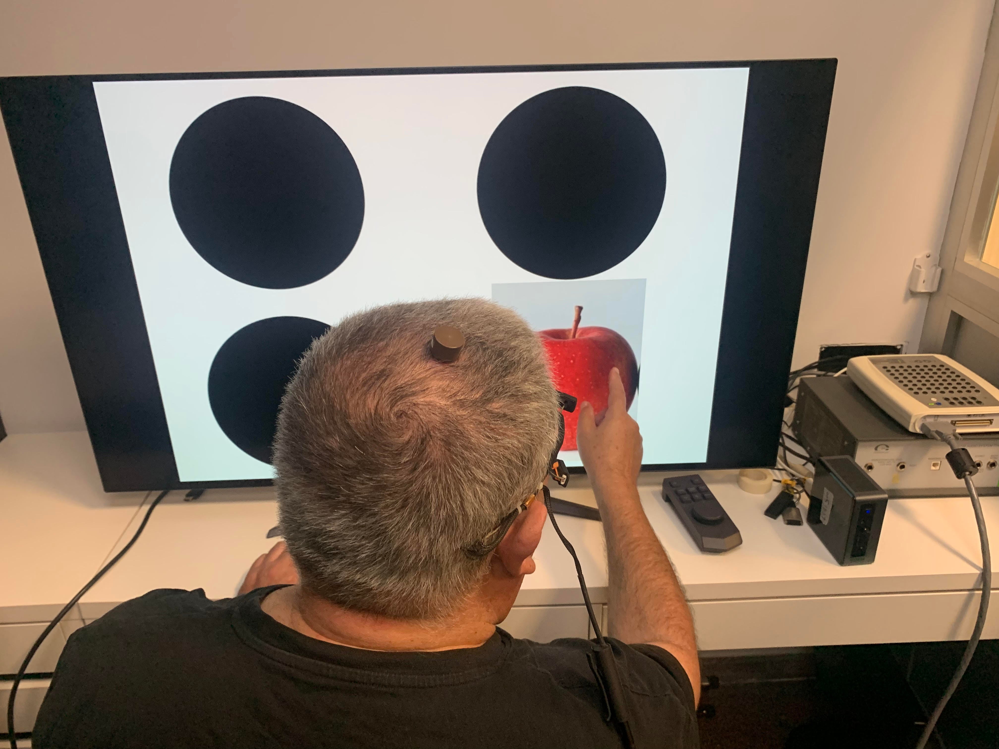 ‘Por fin’ se acerca a la investigación de la UMH de Elche en la que un paciente ciego ha recuperado de forma parcial su visión natural ‘Por fin’ se acerca a la investigación de la UMH de Elche en la que un paciente ciego ha recuperado de forma parcial su visión natural