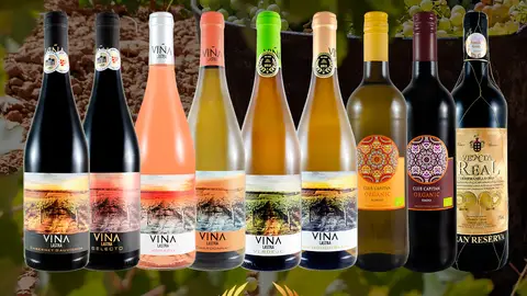 Los vinos de Bodegas Fernando Castro triunfan en los Japan Awards 2026 con múltiples Medallas de Oro Los vinos de Bodegas Fernando Castro triunfan en los Japan Awards 2026 con múltiples Medallas de Oro