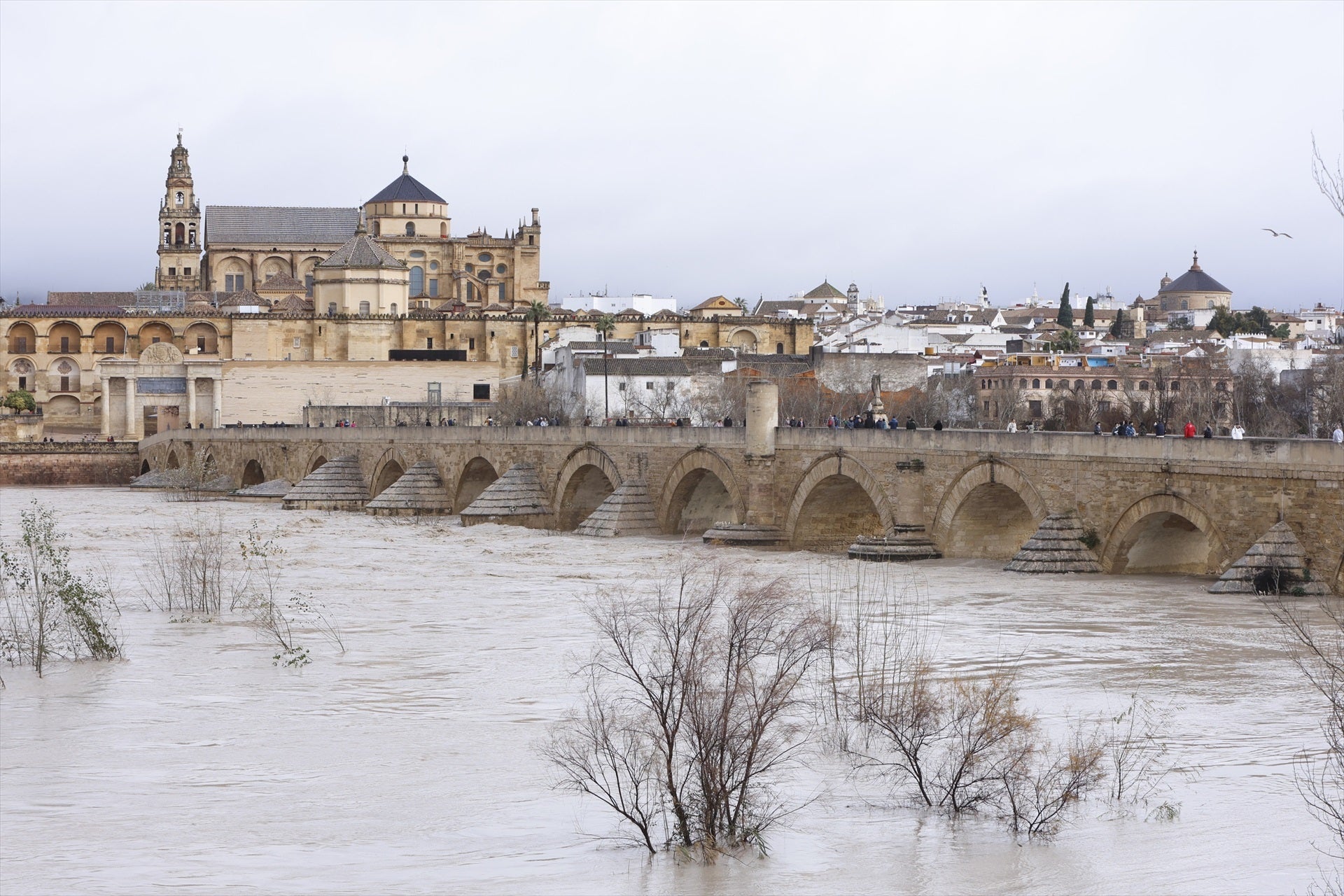 Imagen del caudal del río Guadalquivir a su paso por el Puente Romano de Córdoba Imagen del caudal del río Guadalquivir a su paso por el Puente Romano de Córdoba