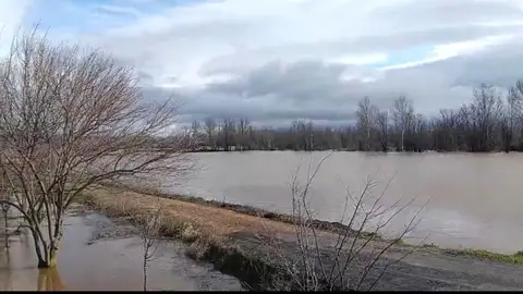 Crecida del río Bañuelos por Fernán Caballero Crecida del río Bañuelos por Fernán Caballero