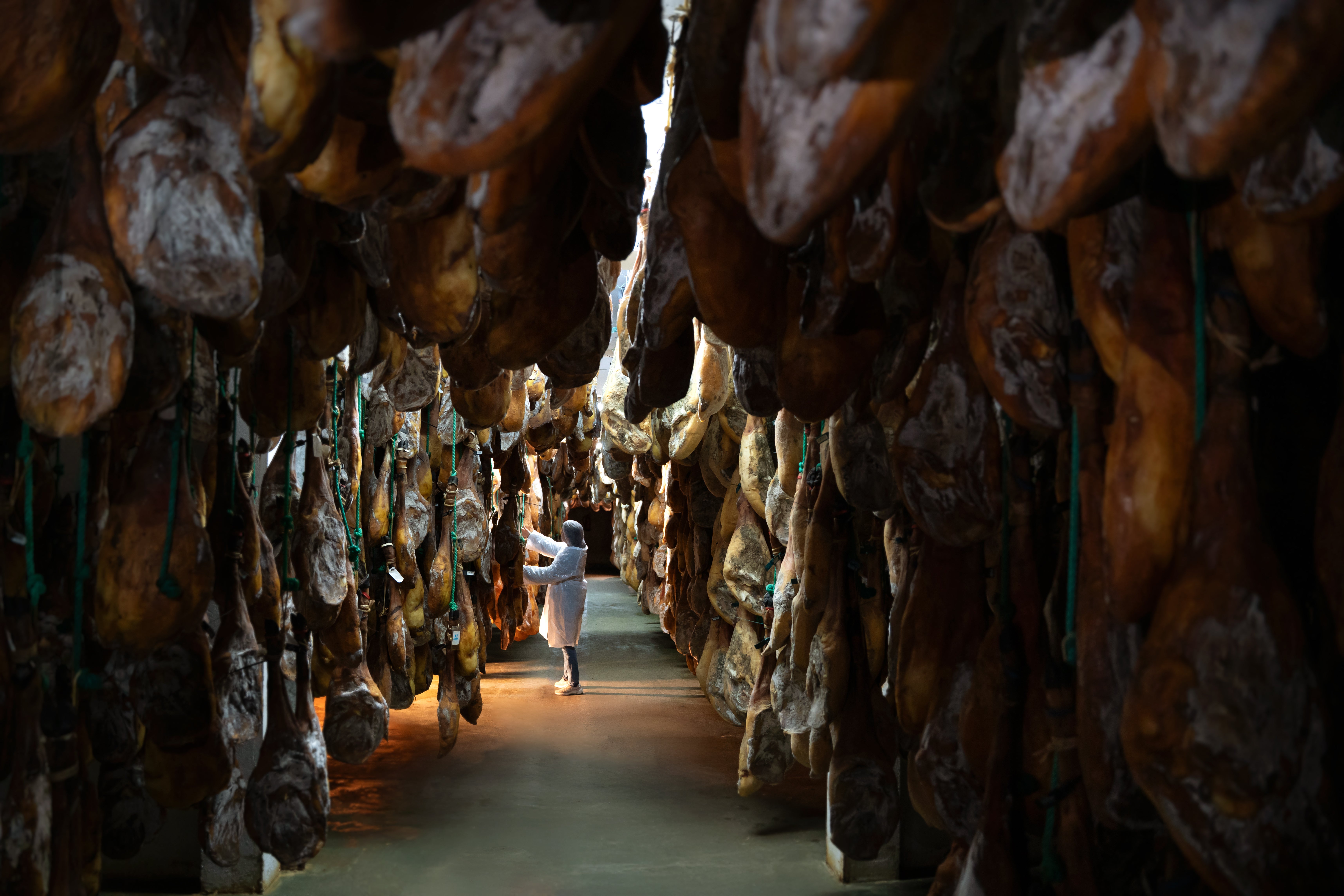 La DOP Los Pedroches supera las 69.500 piezas certificadas en 2025 y refuerza el liderazgo del Bellota 100% Ibérico La DOP Los Pedroches supera las 69.500 piezas certificadas en 2025 y refuerza el liderazgo del Bellota 100% Ibérico