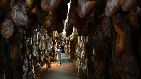 La DOP Los Pedroches supera las 69.500 piezas certificadas en 2025 y refuerza el liderazgo del Bellota 100% Ibérico La DOP Los Pedroches supera las 69.500 piezas certificadas en 2025 y refuerza el liderazgo del Bellota 100% Ibérico