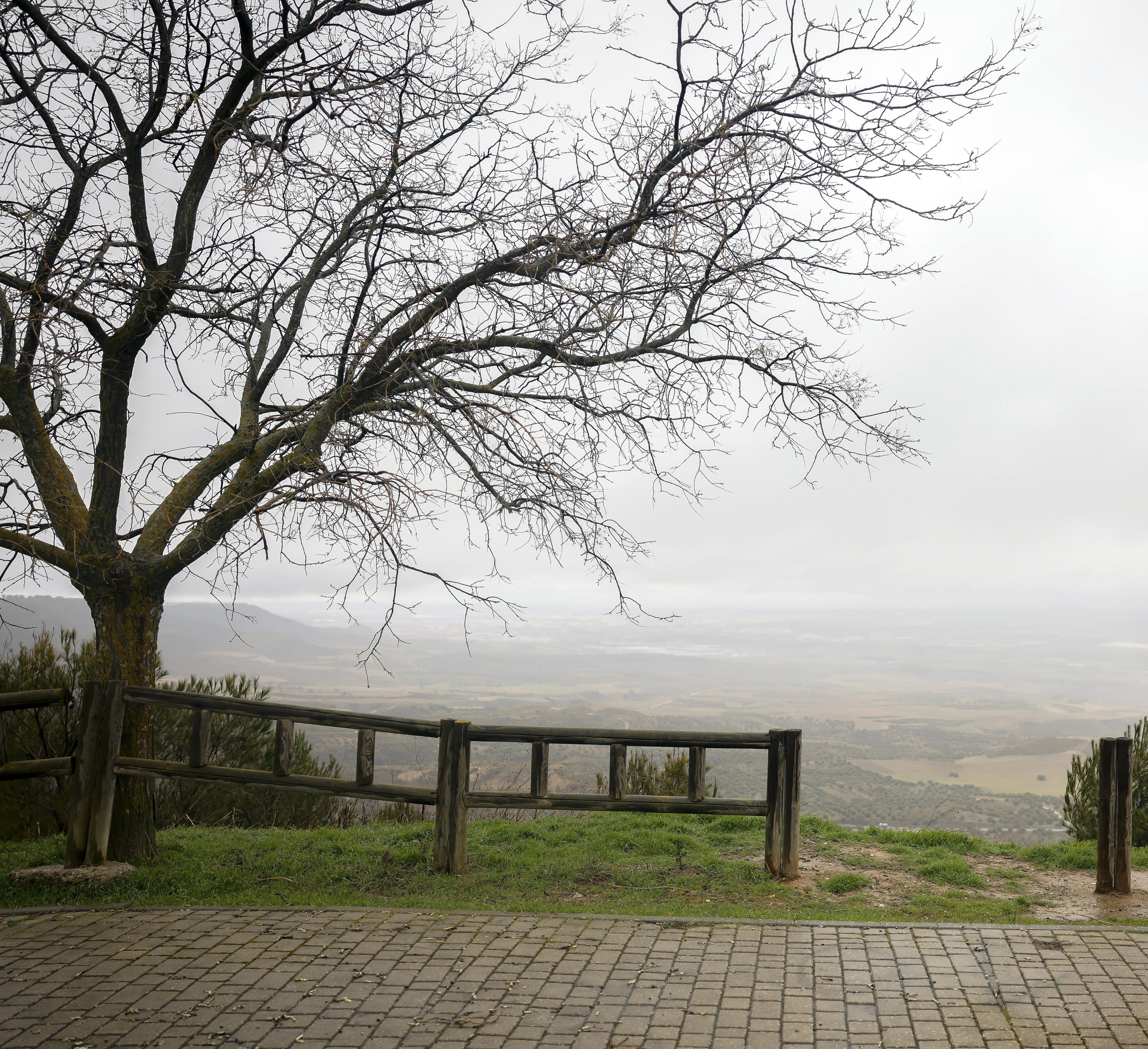 Más de uno Alcalá 09/02/2026 Más de uno Alcalá 09/02/2026