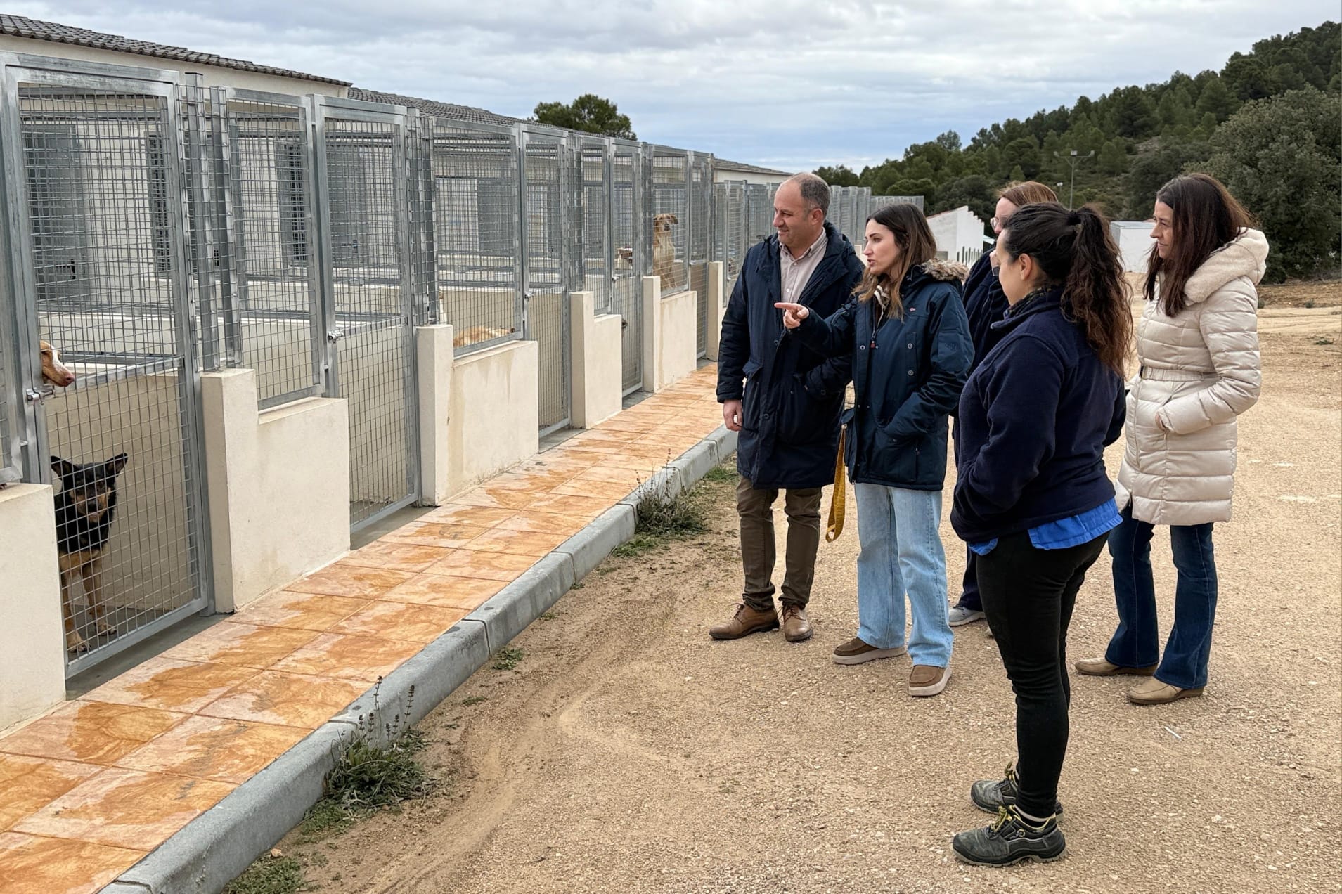 La Diputación de Albacete refuerza el bienestar animal en Emperrados La Diputación de Albacete refuerza el bienestar animal en Emperrados