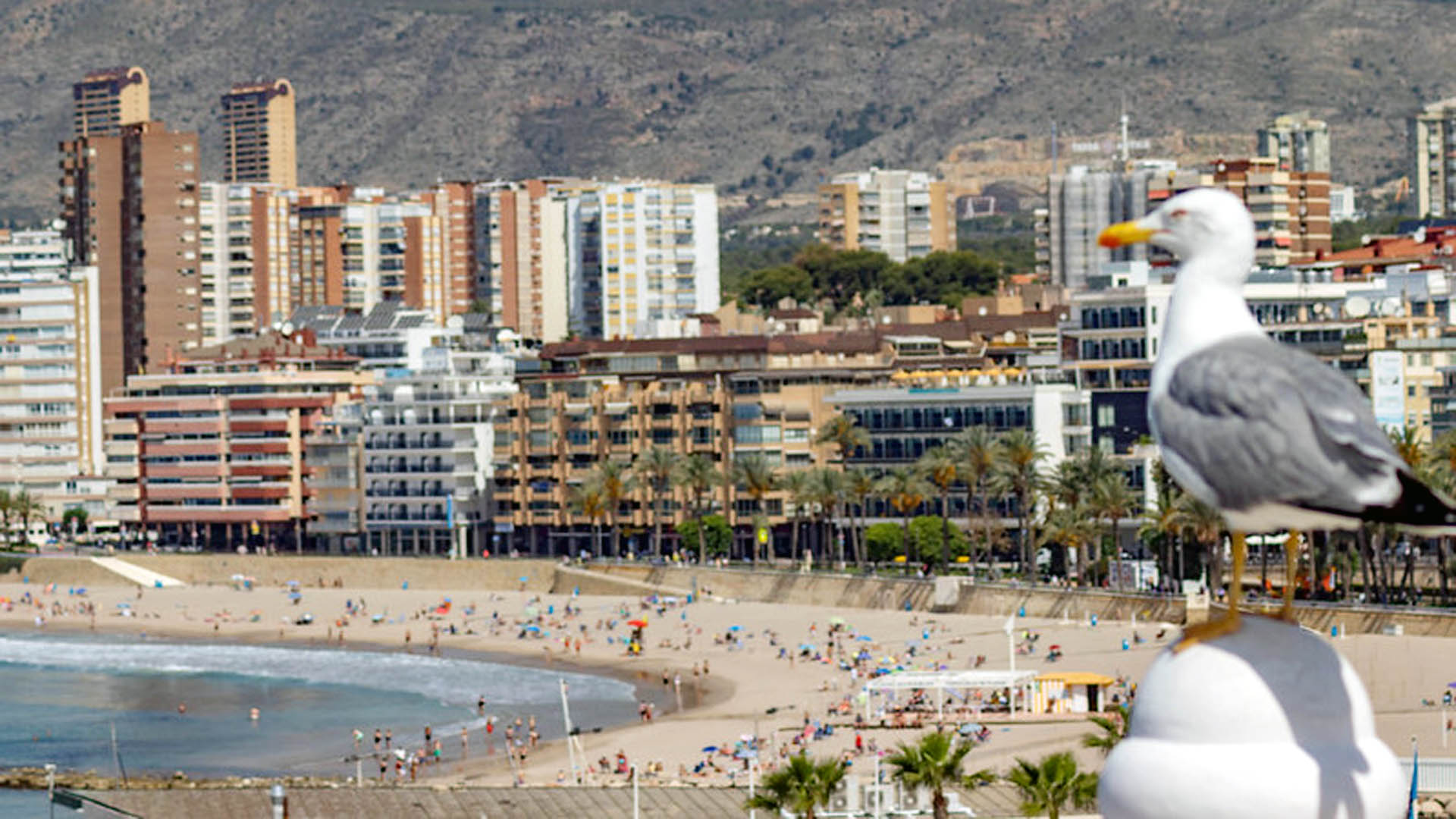 El último informe de CCOO asegura que para acceder en Benidorm a una vivienda en alquiler implica destinar más de la mitad del salario El último informe de CCOO asegura que para acceder en Benidorm a una vivienda en alquiler implica destinar más de la mitad del salario