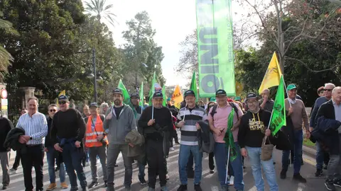 Más de un centenar de agricultores y ganaderos de Castellón viajan a Madrid para la gran protesta del campo Más de un centenar de agricultores y ganaderos de Castellón viajan a Madrid para la gran protesta del campo