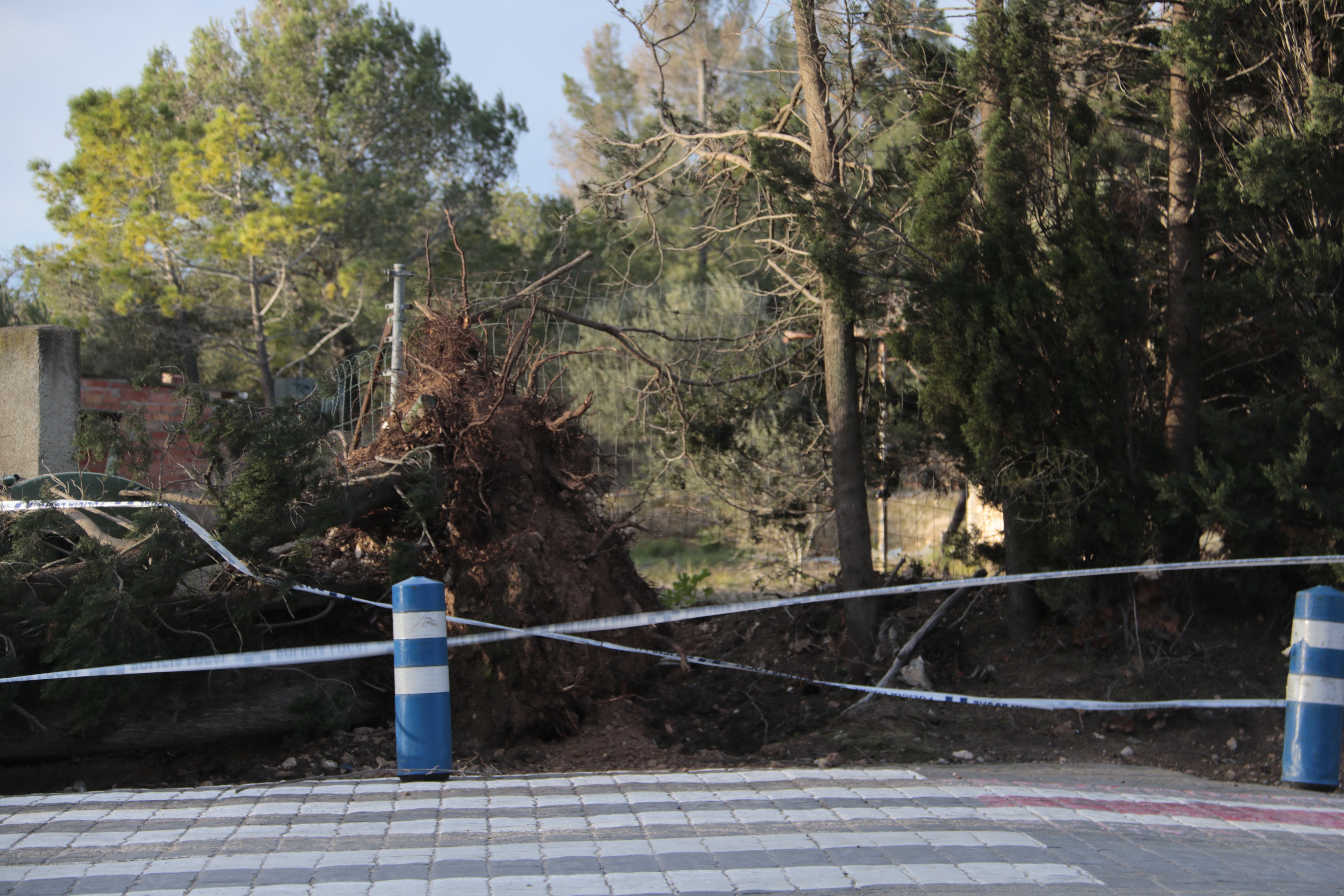 Ventada excepcional a Catalunya: què cal saber? Ventada excepcional a Catalunya: què cal saber?