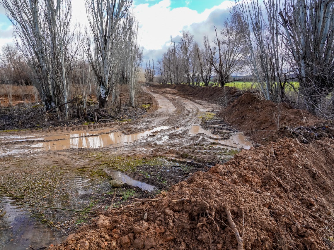 Noticias Alcalá de Henares matinal 13/02/2026 Noticias Alcalá de Henares matinal 13/02/2026