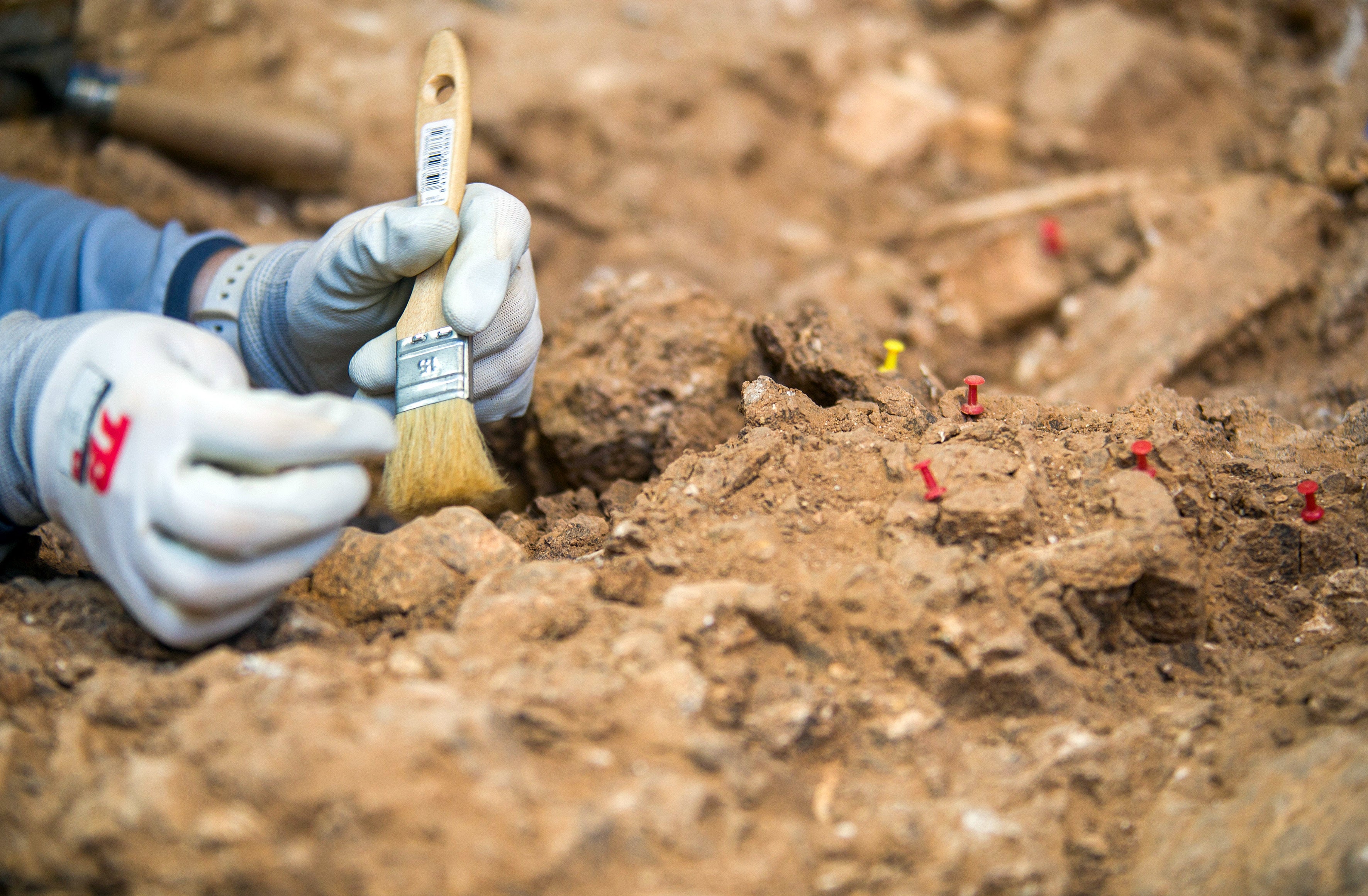 Atapuerca revela el asesinato más antiguo de la historia: "Con el primer golpe ya estaba muerto" Atapuerca revela el asesinato más antiguo de la historia: "Con el primer golpe ya estaba muerto"