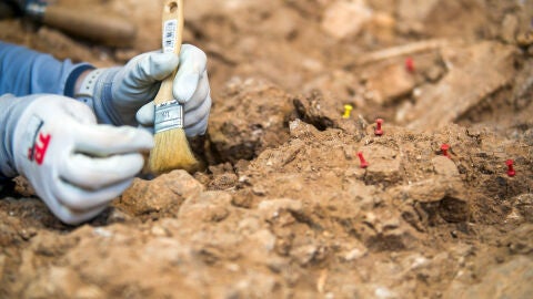 Hallazgos arqueológicos en Atapuerca (Burgos) Hallazgos arqueológicos en Atapuerca (Burgos)