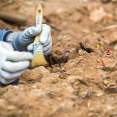Hallazgos arqueológicos en Atapuerca (Burgos) 