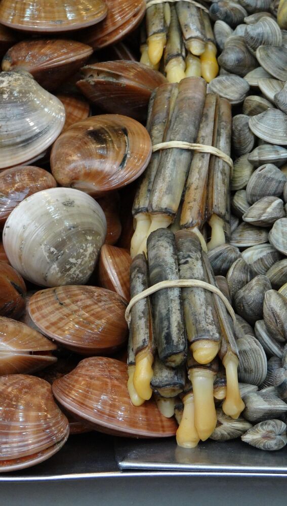 Nada como el producto del mar fresco 