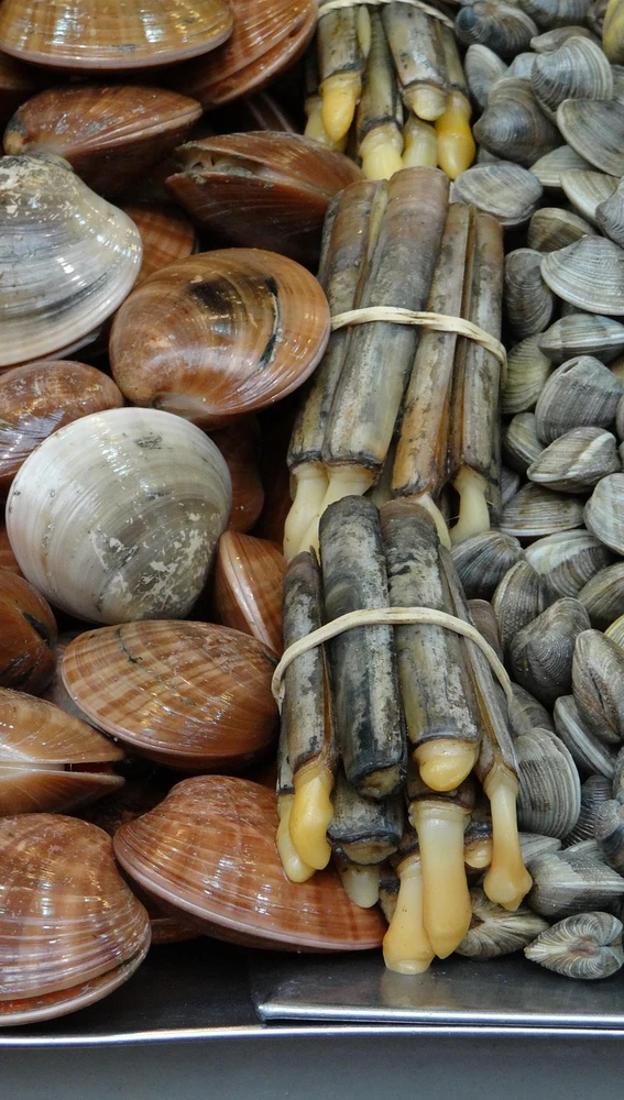 Nada como el producto del mar fresco Nada como el producto del mar fresco